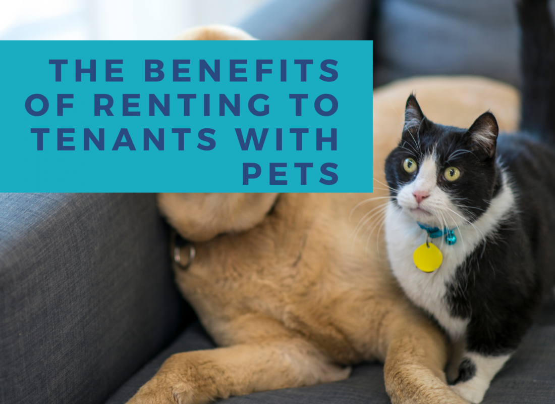 The Benefits of Renting to Tenants with Pets